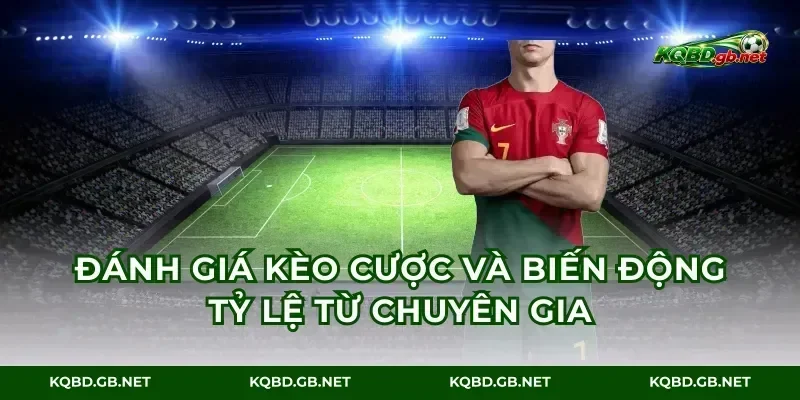 Đánh giá kèo cược và biến động tỷ lệ từ chuyên gia